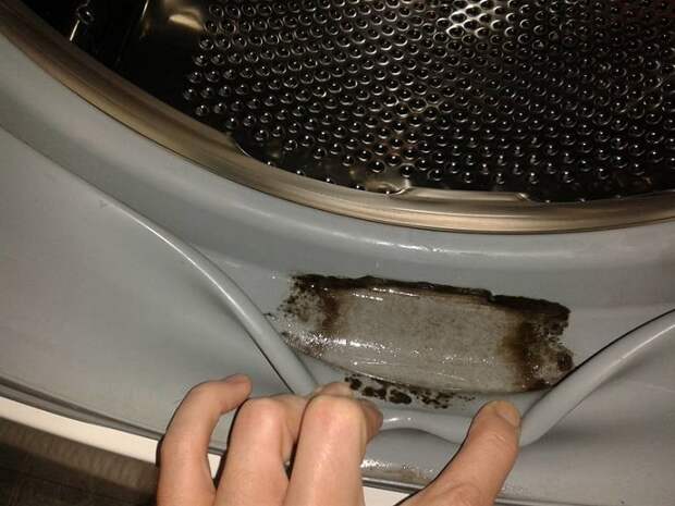 Если не чистить стиральную машину, появится плесень. / Фото: snus-outlet.ru