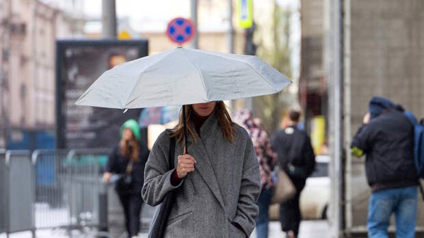 В Москве и области 5 мая ожидаются ветренный день, кратковременные дожди, скачок температуры между днем и ночью