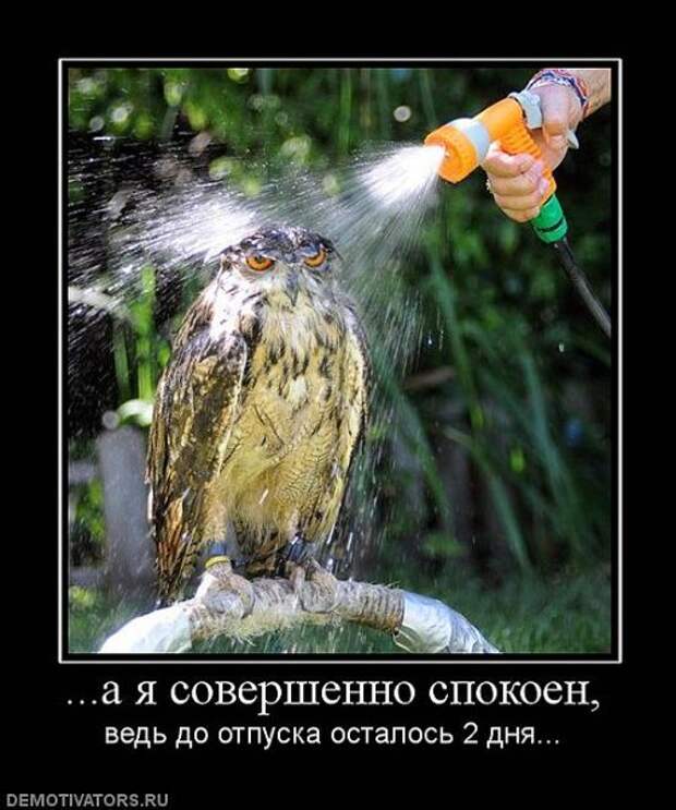 Смешные картинки про отпуск с надписями (15 фото)