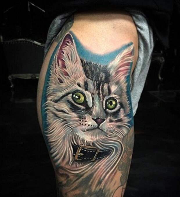 Женщина вытатуировала на теле портрет своего кота его собственной шерстью оригиналы, портрет кота, странные люди, тату, татуировки, татушка на память, чернила, чернила из шерсти