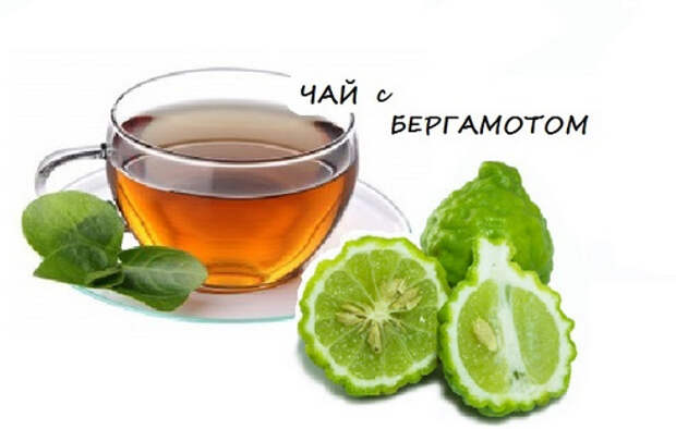 чай с бергамотом польза