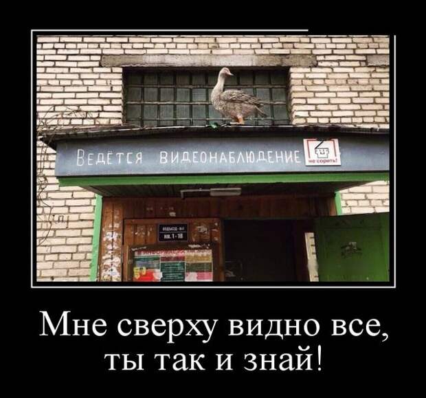 Свежие и веселые демотиваторы со смыслом (10 фото)