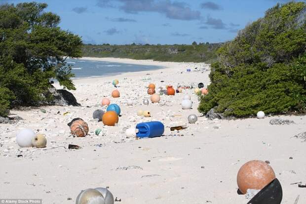 Райский остров превратился в самое загрязненное место на планете загрязнение, мусор, остров, экология