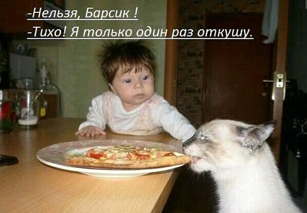 Прикольные картинки (30 фото)