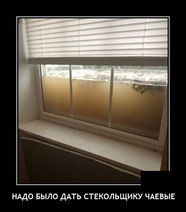 Демотиваторы 5 июля 2021