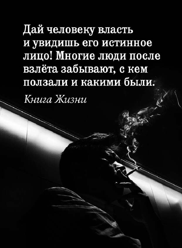 Несколько хороших фраз о правде жизни