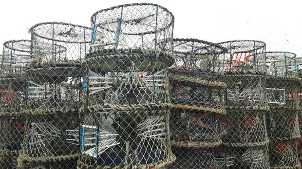 В Астраханской области с начала апреля провели 42 рейда и выявили 200 нарушителей правил рыбалки