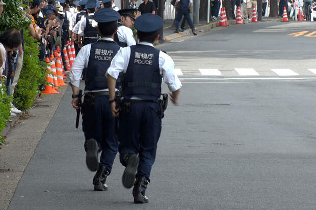 Чиновник в Японии арестован за лоббирование сокращения числа обезьян в парке