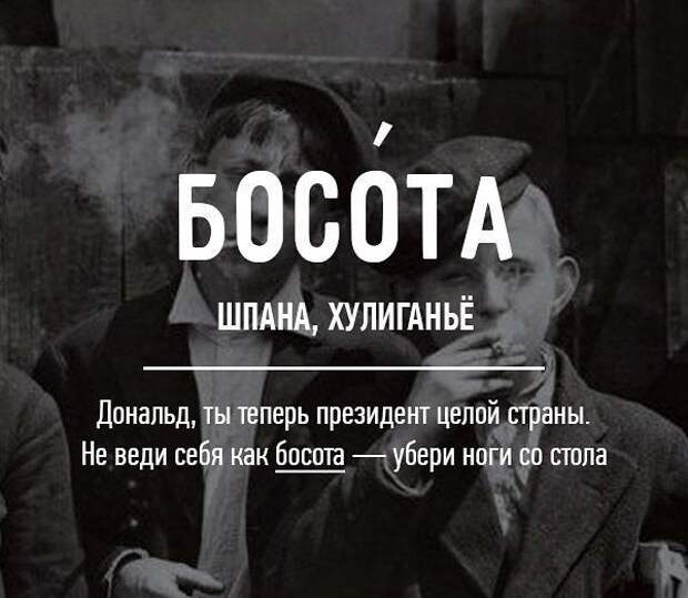 Редкие бранные слова русского языка (20 картинок)