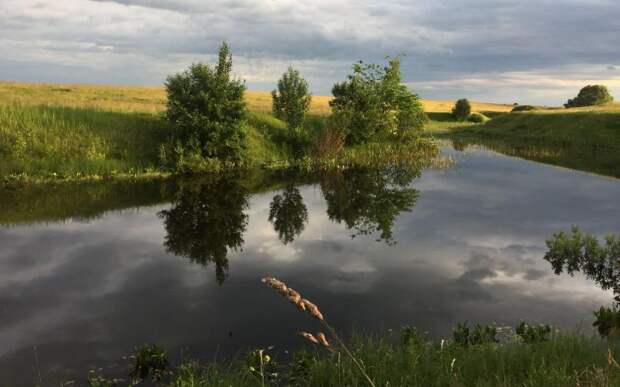 В России провели работы по оздоровлению водоёмов на 3,6 тысяч гектаров