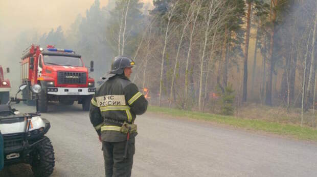 В Московской области резко возросла пожарная опасность: какие еще регионы в зоне риска
