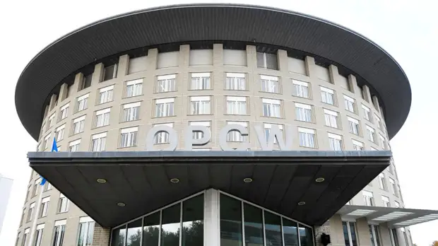 Шульгин рассказал о молчании ОЗХО в ситуации с нестыковкой в докладе о Навальном