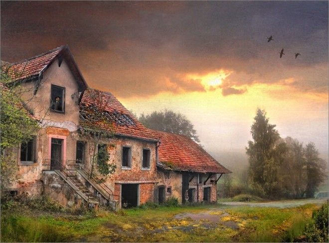 Природа берёт своё Природа берёт своё город, деревья, заброшенное, заросли, руины, эстетика