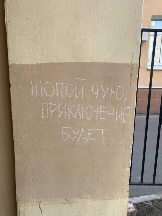 И ведь не подведёт И ведь не подведёт