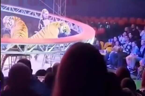 Кадр: соцсети