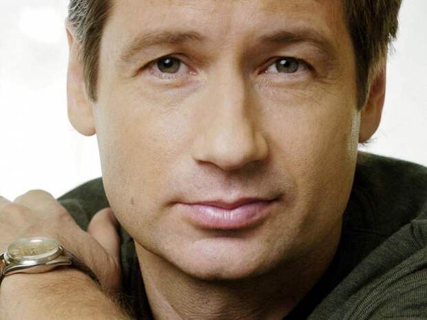 15 интересных фактов о сериале «Секретные материалы» Дэвид Духовны, кино, секретные материалы, сериал, фильм