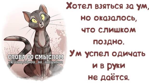 Прикольные фразочки в забавных картинках