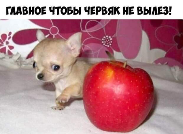 иначе утащит ))