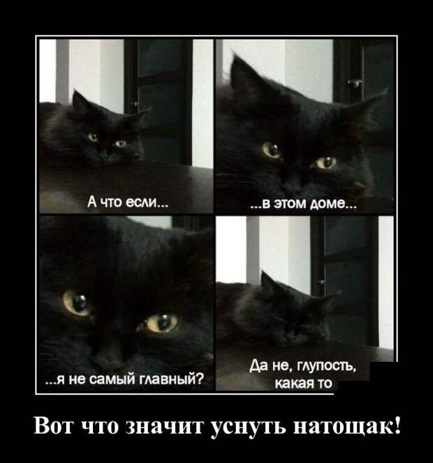 Демотиваторы