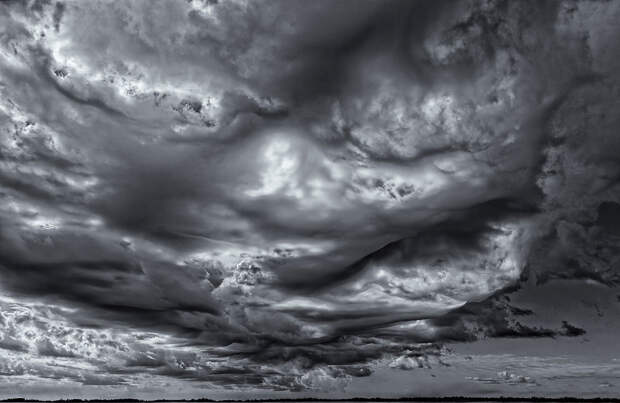 Шероховатые волны (Undulatus asperatus)