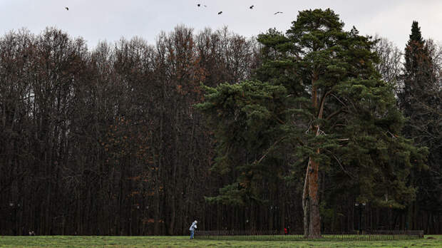 Более 120 ученых обратились к Путину из-за закона об изъятии охранных земель