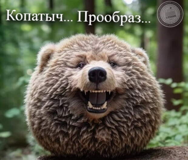 Копатыч