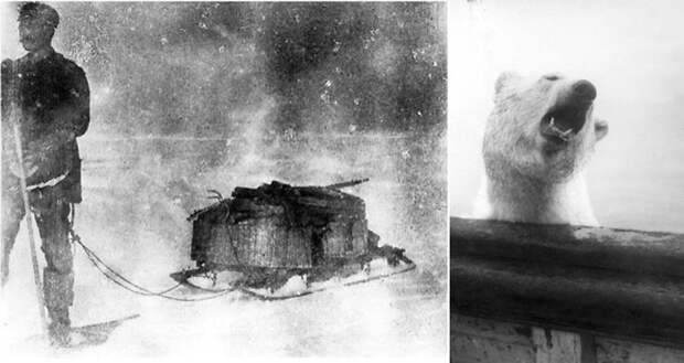 Путешествие на Северный полюс в воздушном шаре-24 фото-
