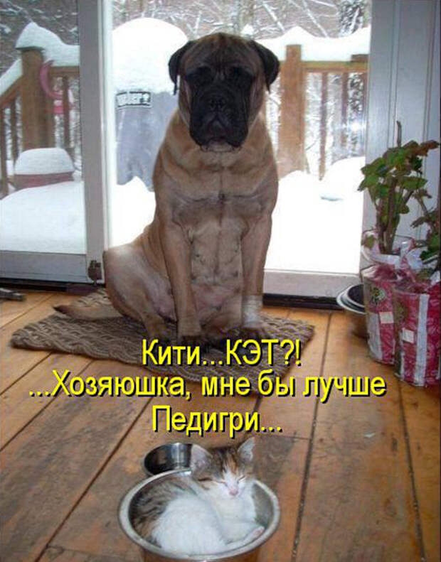Прикольные картинки (30 фото)