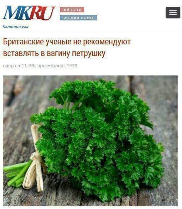Новости, которые мы заслужили: 30+ безумных заголовков из СМИ