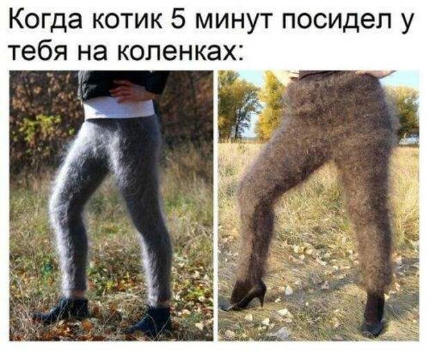 Картинки с надписями картинки, картинки с надписями, надписи, прикол, юмор