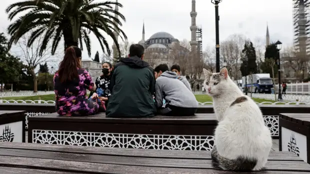 Зеленский отметил важность повысить турпоток в Турцию