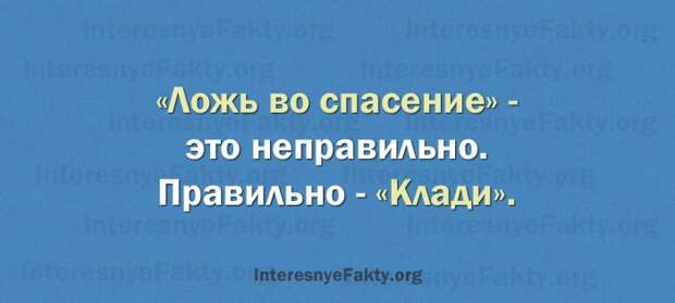 Особенности русского языка - INFOnotes