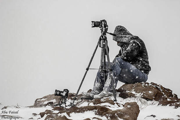 Из жизни фотографов курьезы, приключения, природа, репортаж, риск, фотография, фотографы, фоторепортаж