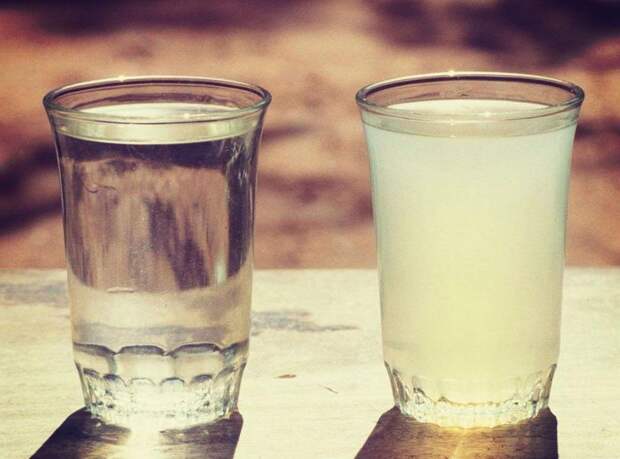 Кипячение, фильтрация и не только: методы очистки воды, которые я использую дома