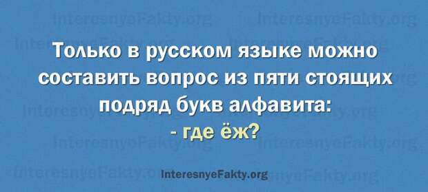 Особенности русского языка - INFOnotes