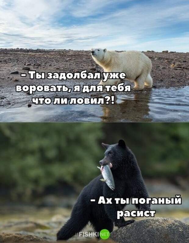 Коротко о ситуации в США