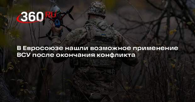 Кубилюс: ВСУ после конфликта могли бы охранять восточные границы Евросоюза