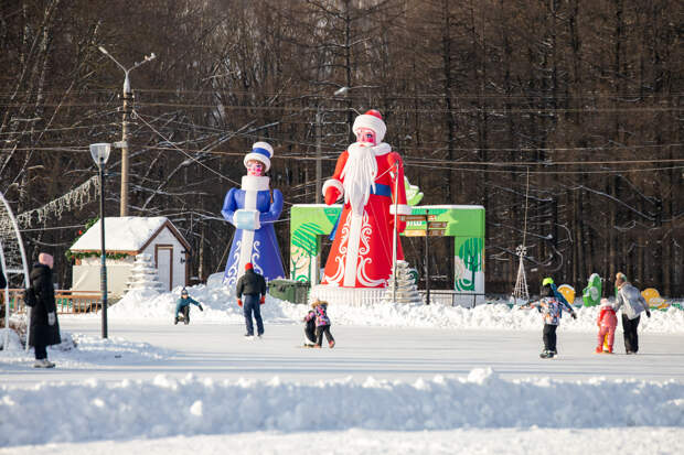 Роспотребнадзор напомнил тулякам о пользе зимних активностей