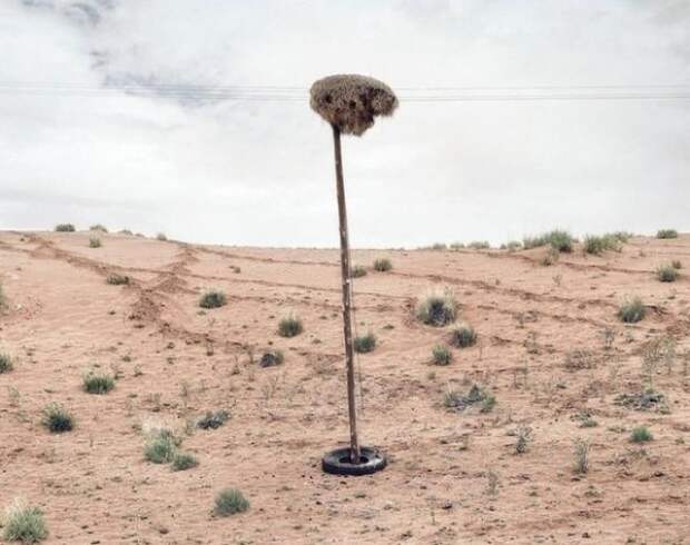 10 10