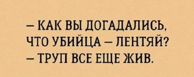Юмор на любителя Юмор на любителя
