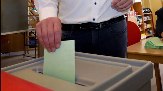 Сопредседатель АдГ призвала провести досрочные выборы в Германии