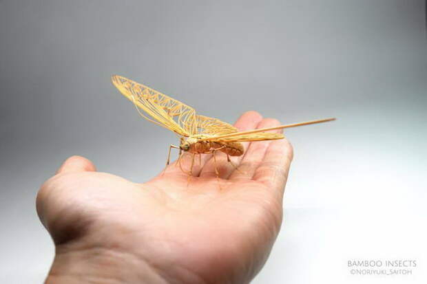 Скульптуры насекомых Noriyuki Saitoh