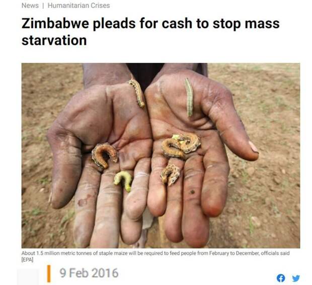 Зимбабве просит денег, чтобы остановить массовый голод