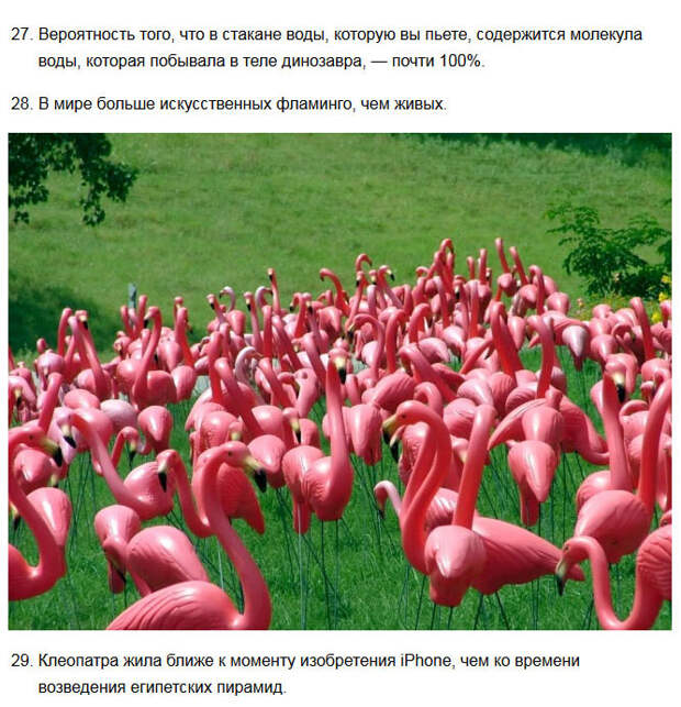 Удивительные короткие факты