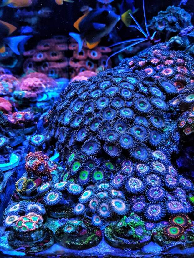 Фотоподборка