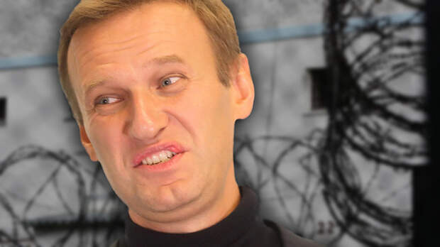 Восемь томов и гостайна: Дело Навального и Волкова получило новый поворот