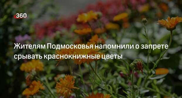 Жителям Подмосковья напомнили о запрете срывать краснокнижные цветы