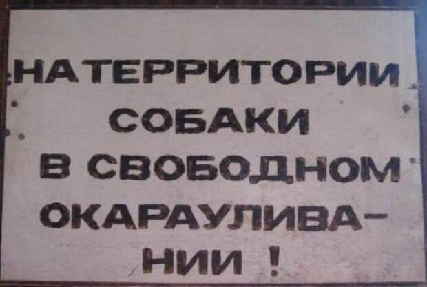 Необычные информационные таблички с калиток, ворот и заборов (15 фото)