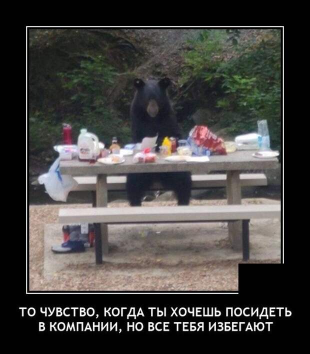 Демотиваторы 5 июля 2021