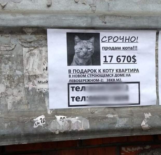 Странные объявления в Интернете и реальной жизни